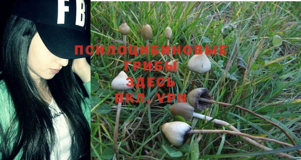 mdpv Елабуга