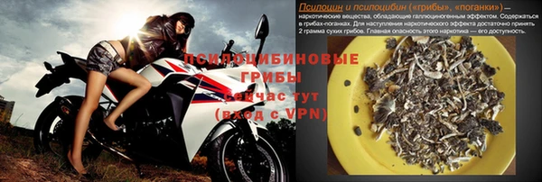гашик Елизово