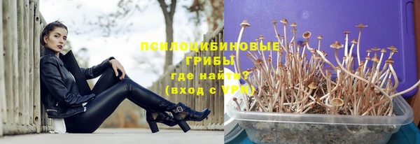 гашик Елизово