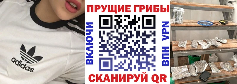 Купить закладки Мариинский Посад Галлюциногенные грибы мицелий